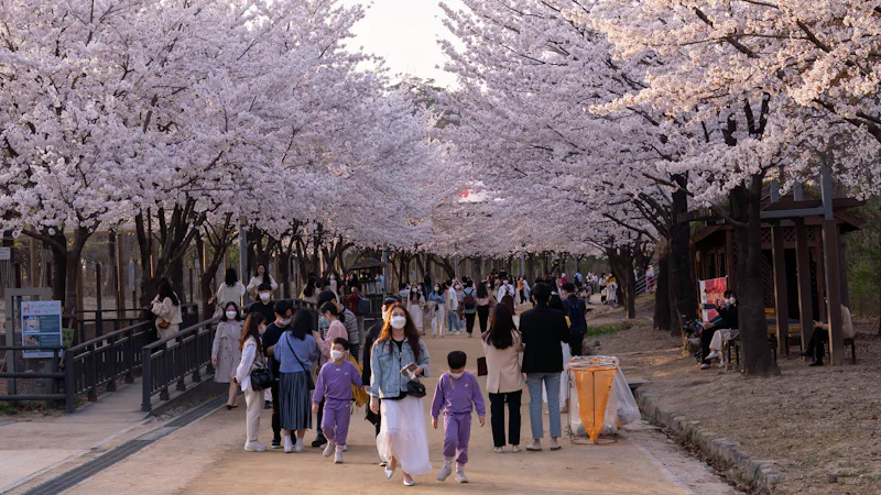 Seoul – nơi Phạm Minh Trang du học
